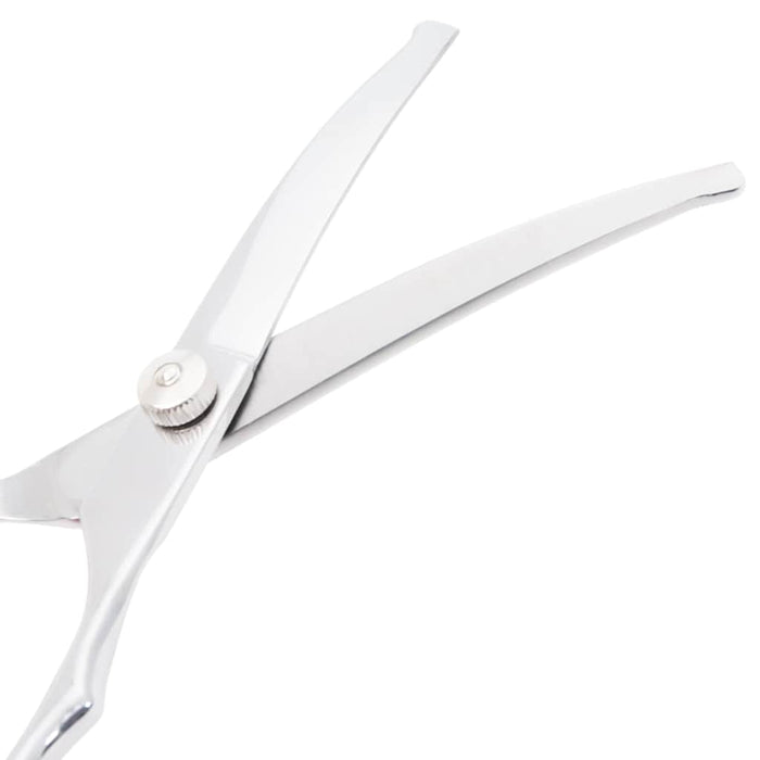 Set Forbici da Toelettatura Cani 6 pz in Acciaio Inossidabile 4101329