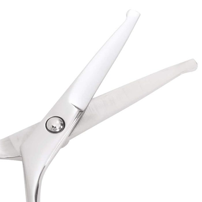 Set Forbici da Toelettatura Cani 6 pz in Acciaio Inossidabile 4101329