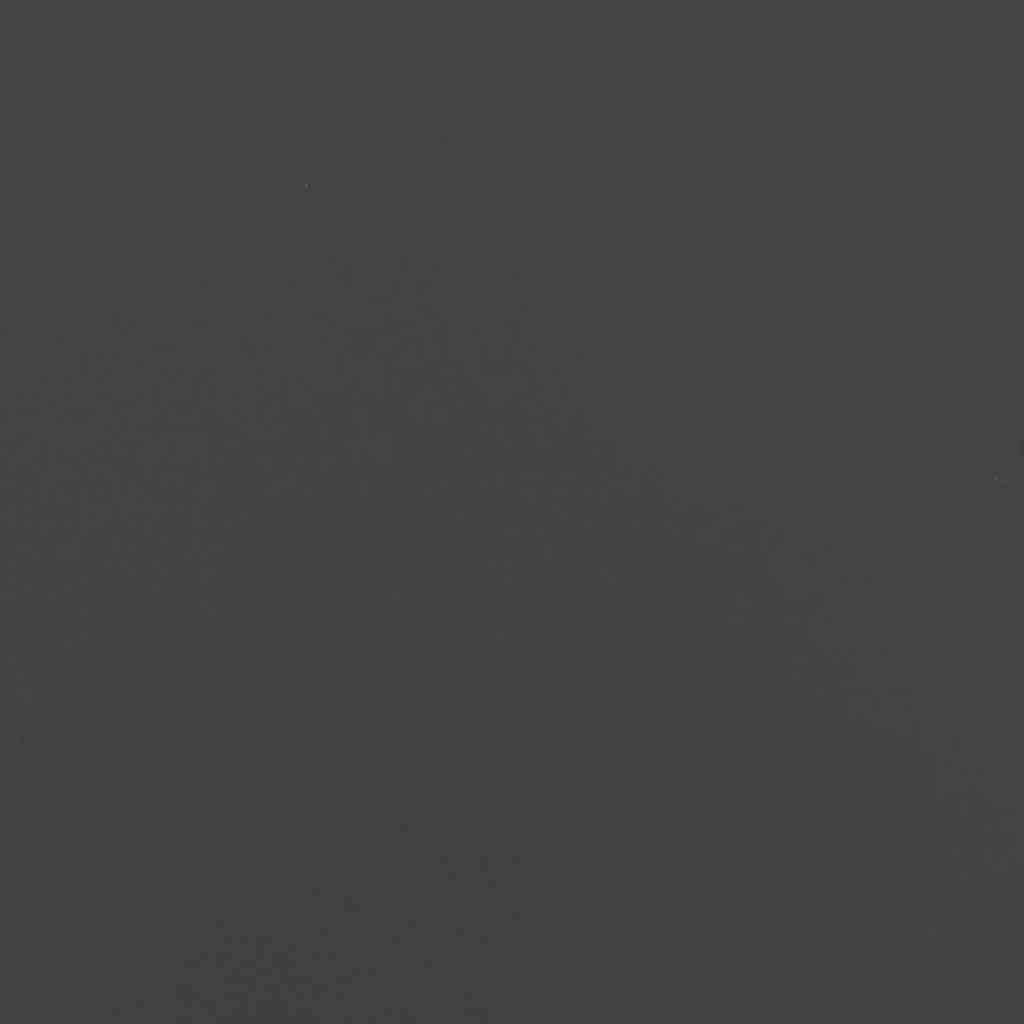 Rastrelliera per Legna da Ardere Nera 44x28x90 cm 864207