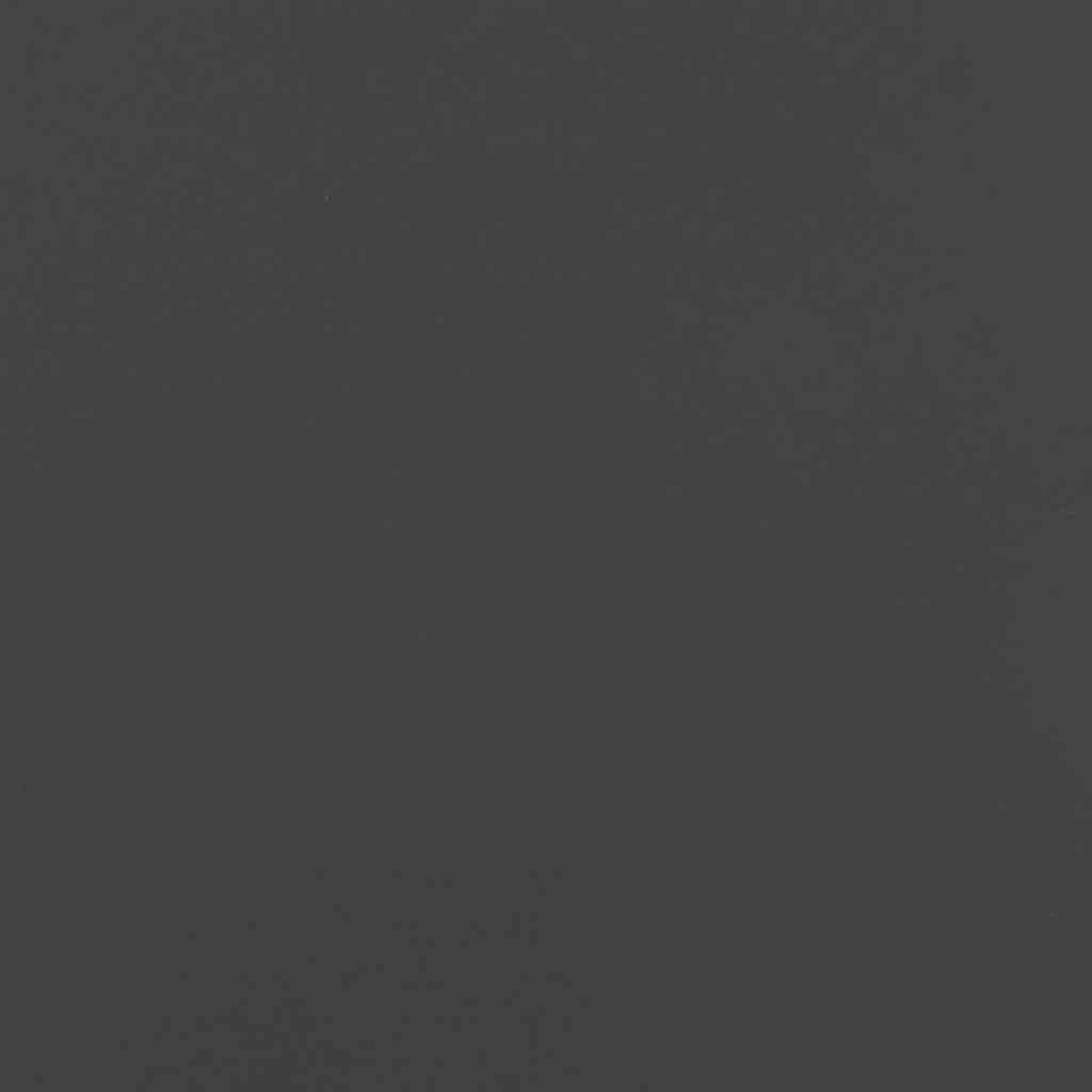 Rastrelliera per Legna da Ardere Nera 40x30x80 cm 864231