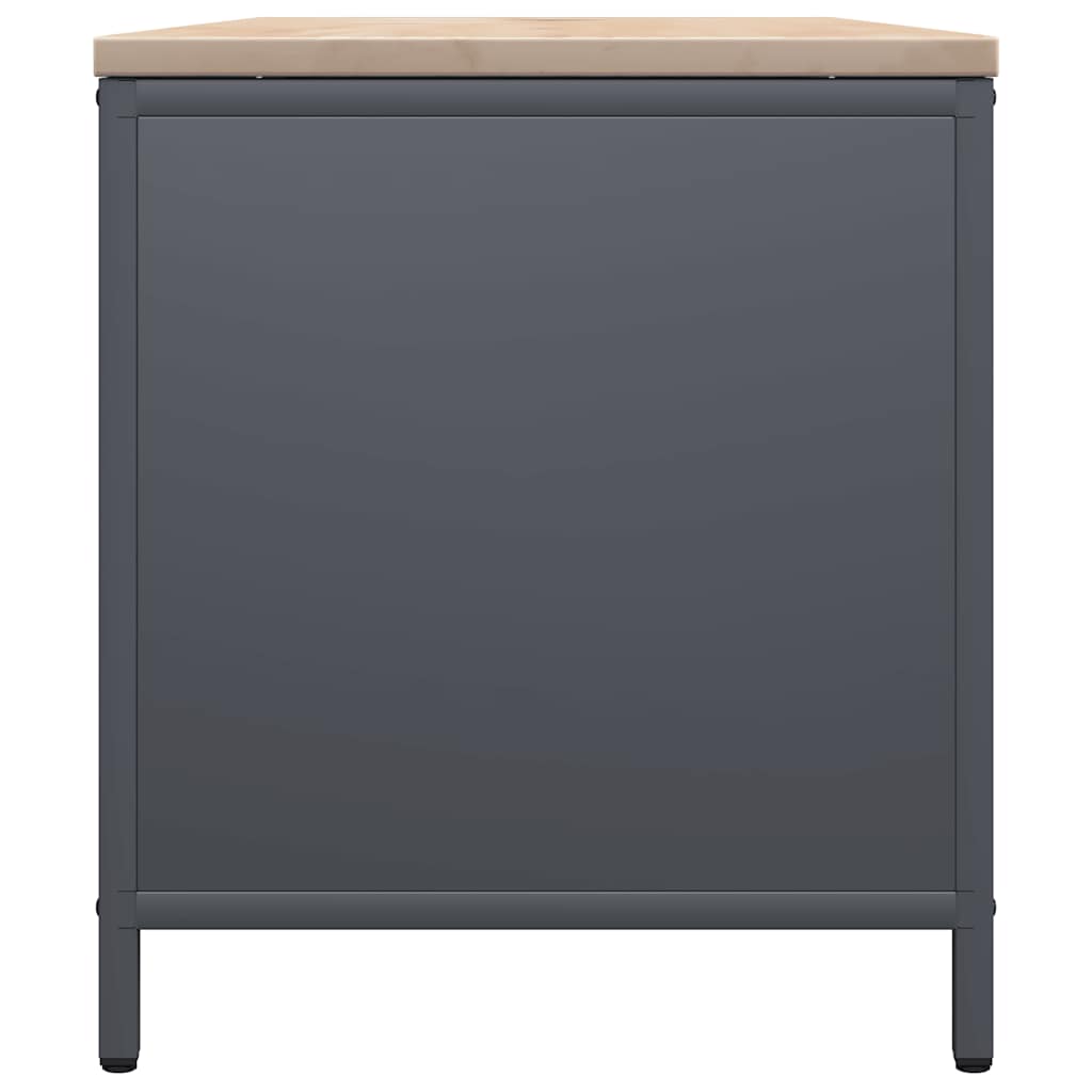 Rastrelliera Legna da Ardere con Piano Antracite 100x40x60 cm 864257