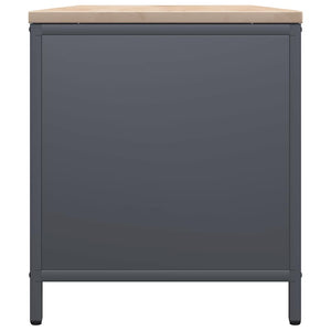 Rastrelliera Legna da Ardere con Piano Antracite 100x40x60 cm