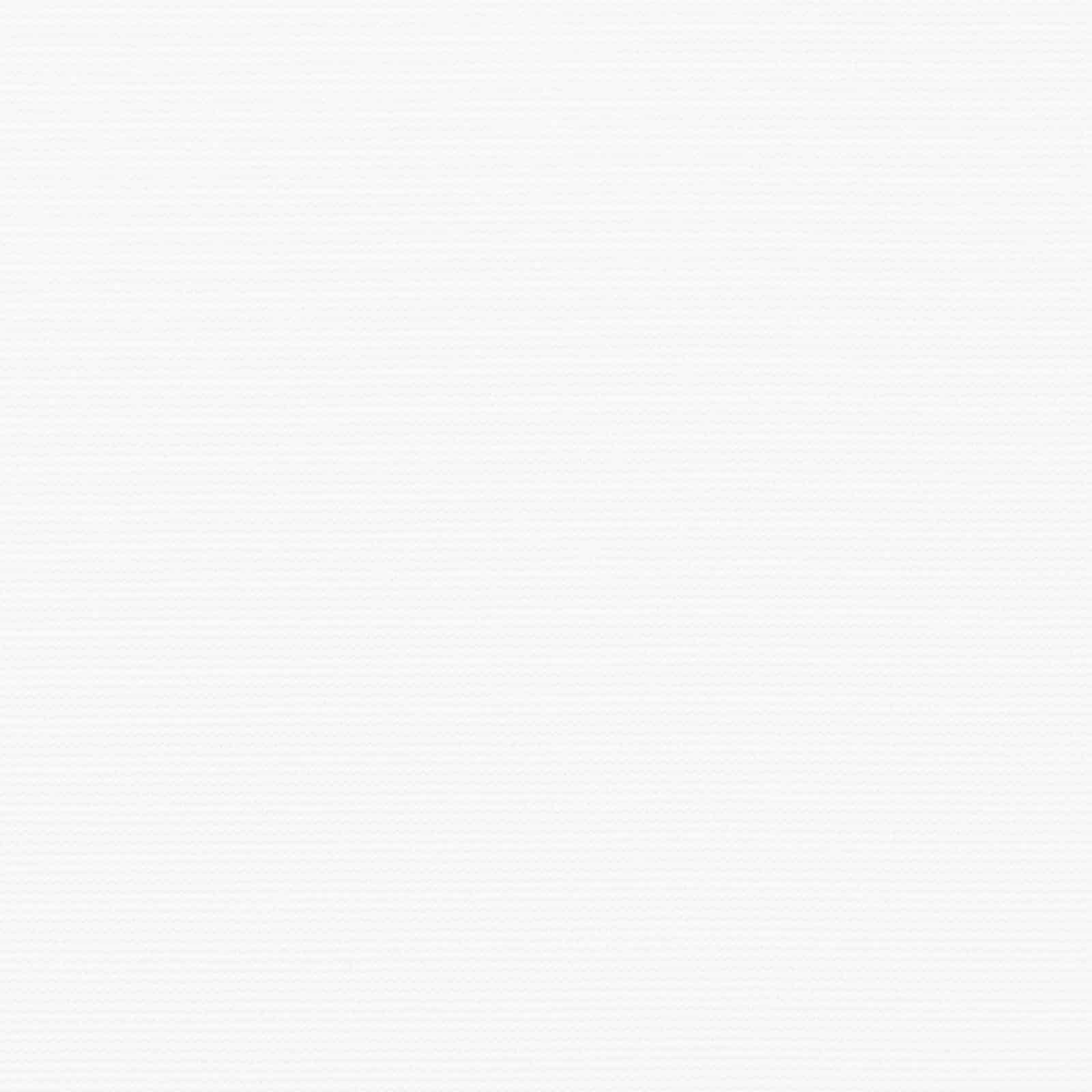 Tenda Retrattile Bianco 300 x 250 cm Tessuto e Metallo 3330082