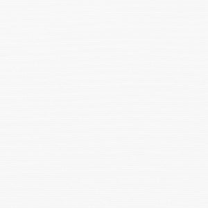 Tenda Retrattile Bianco 300 x 250 cm Tessuto e Metallo 3330084