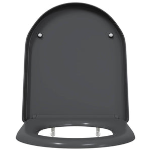 Sedile del WC con rilascio rapido Antracite 46.2 x 36 x 4.3 cm 42002354