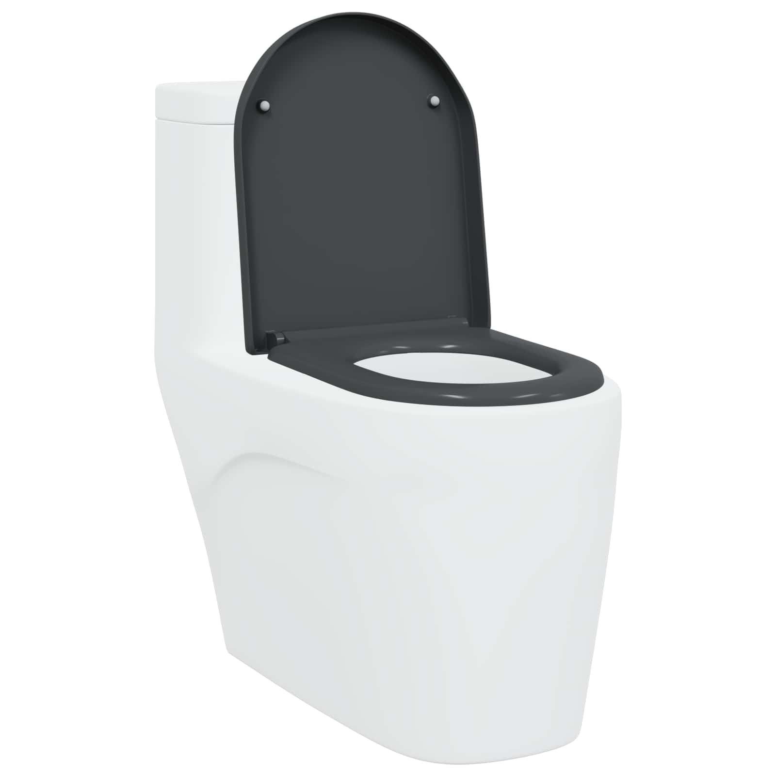 Sedile del WC con rilascio rapido Antracite 46.2 x 36 x 4.3 cm 42002354