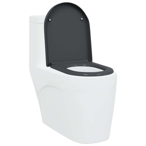 Sedile del WC con rilascio rapido Antracite 46.2 x 36 x 4.3 cm 42002354