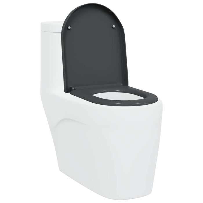 Sedile del WC con rilascio rapido Antracite 46.2 x 36 x 4.3 cm 42002354