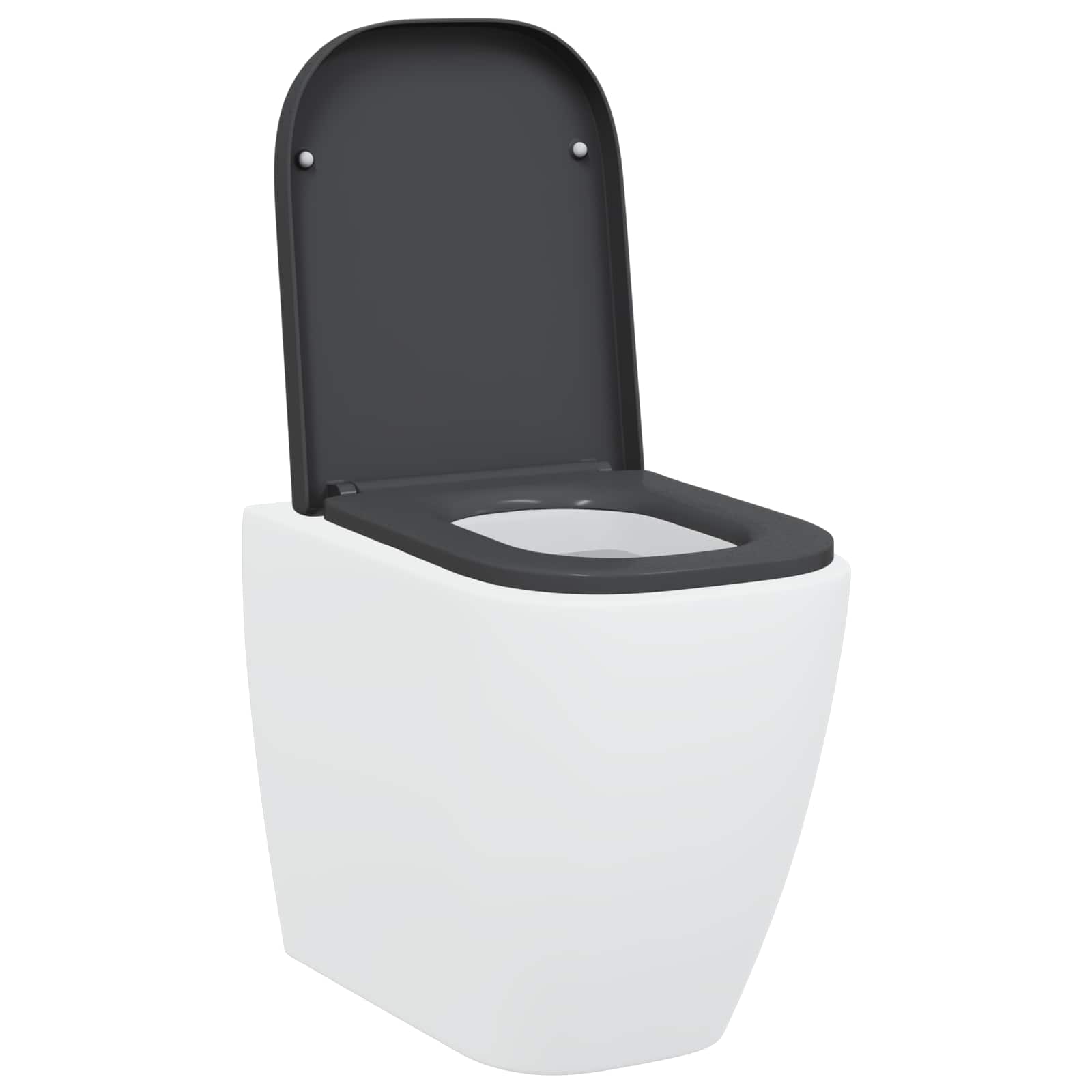 Sedile del WC con rilascio rapido Antracite 44.5 x 35 x 3.6 cm 42002358