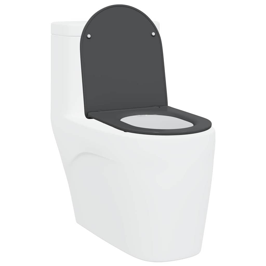 Sedile del WC con rilascio rapido Antracite 44 x 36.4 x 3.4 cm 42002366