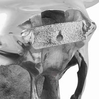 Teschio di toro Argento 34 x 13 x 53 cm Alluminio 42000134