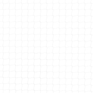 Rete per Gatti Trasparente 6x3 m in Nylon 42003056