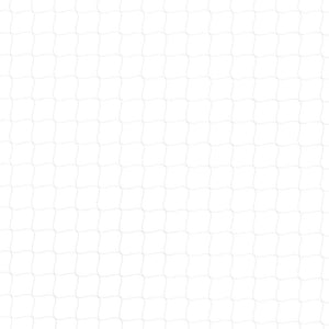 Rete per Gatti Trasparente 8x3 m in Nylon