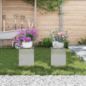 Supporti per piante 2 pcs Argento 24 x 24 x 35 cm 865810