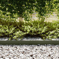 Bordure per prato 30 pcs Oliver verde 100 x 0.5 x 15 cm Acciaio 865932