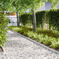 Bordure per prato 20 pcs Argento 100 x 0.5 x 15 cm 865935