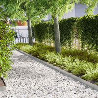 Bordure per prato 20 pcs Argento 100 x 0.5 x 15 cm 865939