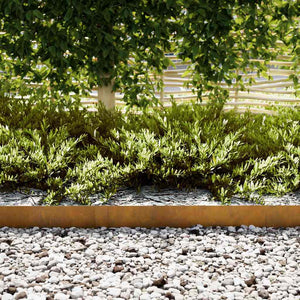 Bordure per prato 50 pcs Marrone 100 x 0.5 x 15 cm 865945