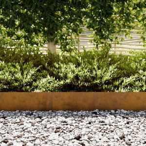 Bordure per prato 30 pcs Marrone 100 x 0.5 x 20 cm 865966