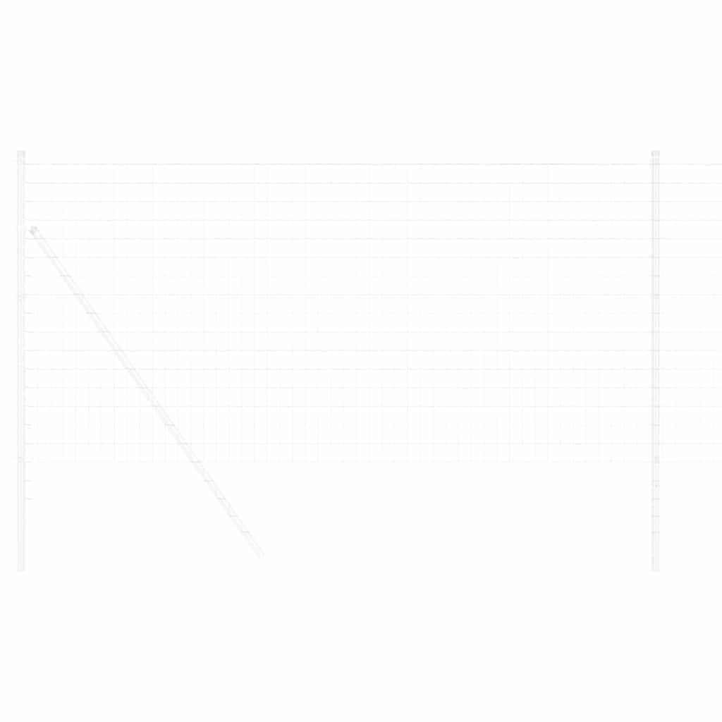 Recinzione Euro Argento 1.2 x 10 m Acciaio zincato a caldo 42004630