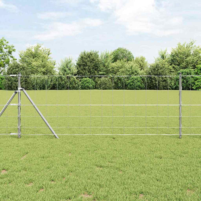Recinzione da campo Argento 50 x 0.8 m Acciaio zincato 42005829