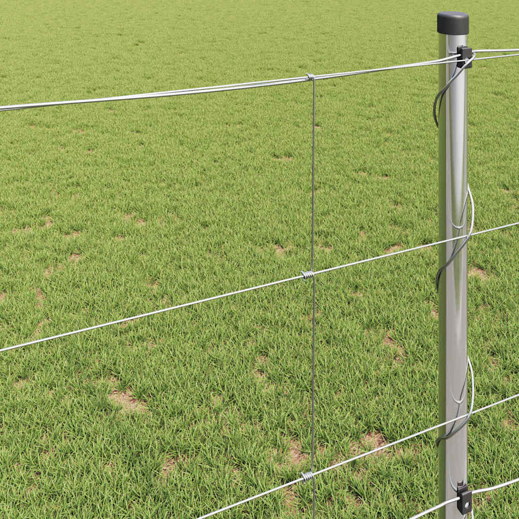 Recinzione da campo Argento 100 x 1 m Acciaio zincato 42005862