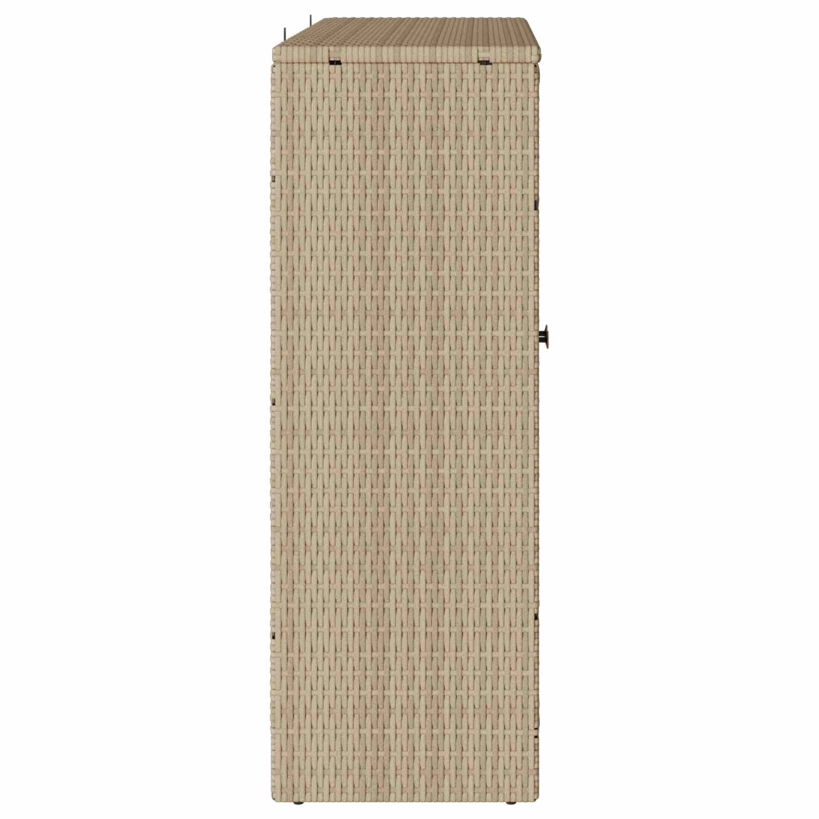 Armadio con archiviazione Beige 100 x 36 x 102 cm Rattan 4103824