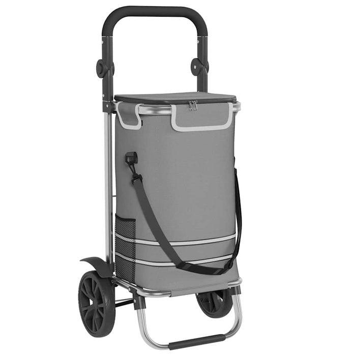 Carrello della spesa Grigio 36.5 x 46.5 x 100.5 cm 42002335