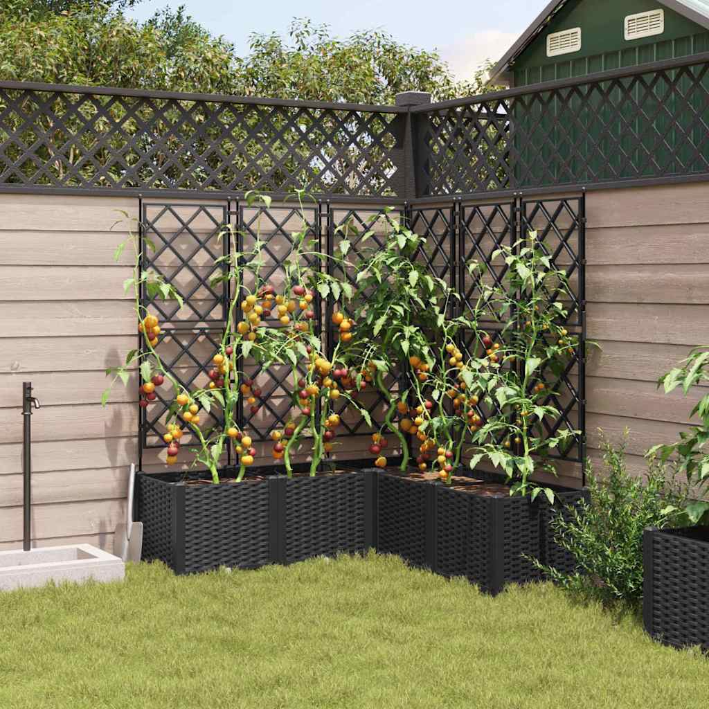 Vaso da Giardino con Trellis 5 pcs Nero 120 x 120 x 143 cm PP 42002843