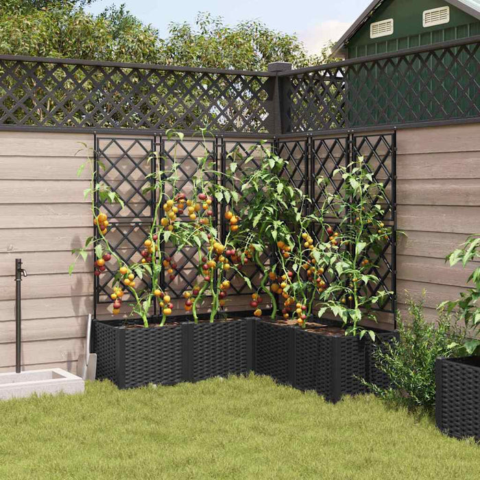 Vaso da Giardino con Trellis 5 pcs Nero 120 x 120 x 143 cm PP 42002843