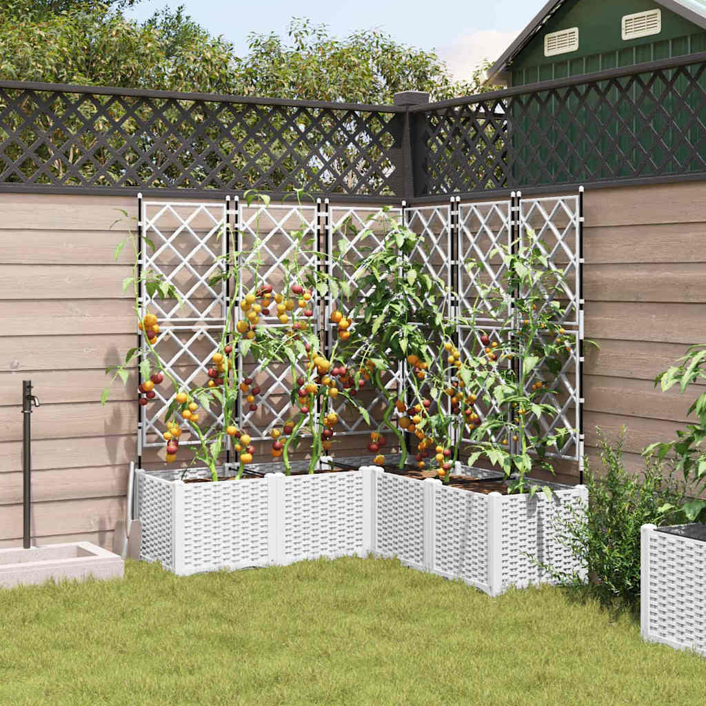 Vaso da Giardino con Trellis 5 pcs Bianco 120 x 120 x 143 cm PP 42002911