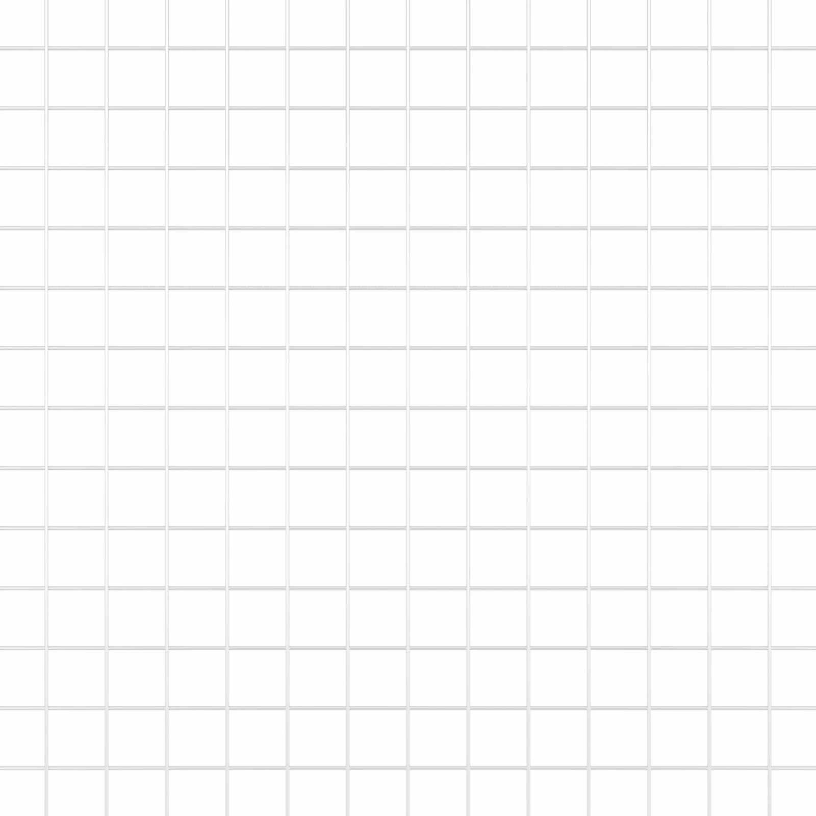 Recinzione in Rete Saldato Argento 0.5 x 100 m 42004987