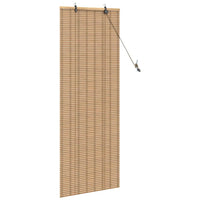 Tenda a rullo Altro Marrone Chiaro 60 x 160 cm Bambù 42006894