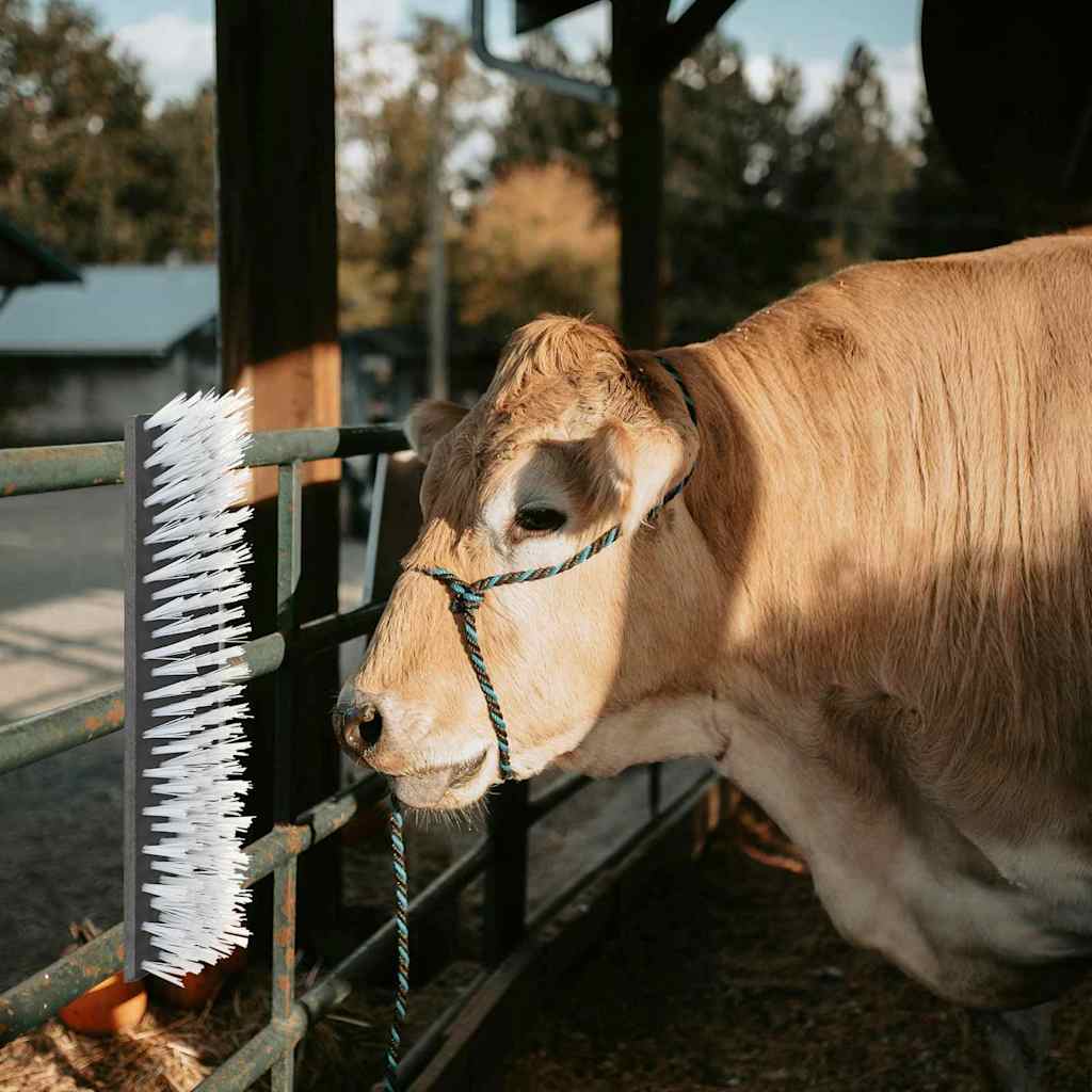 Spazzole per Bovini  da Muro 50x10x6.5 cm 42006833