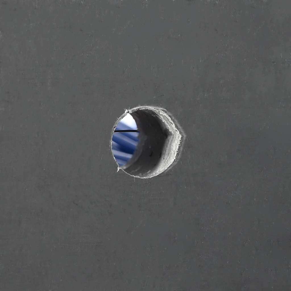 Spazzole per Bovini  da Muro 50x10x6.5 cm 42006834