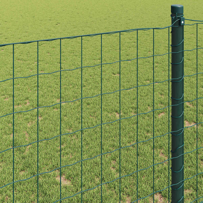 Recinzione Euro Verde 0.8 x 10 m Ferro rivestito in PVC 42004340