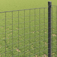 Recinzione Euro Grigio 1.2 x 25 m Ferro rivestito in PVC 42004518