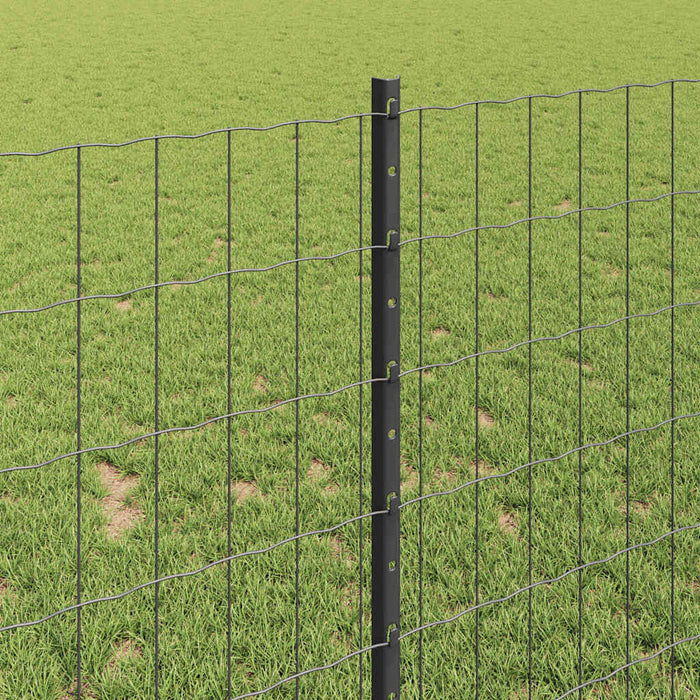 Recinzione con pali. Grigio 1 x 10 m Acciaio 3336073