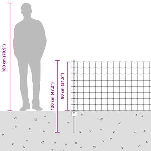 Recinzione e Posto Grigio 0,8 x 10 m Acciaio 3336088