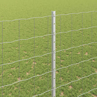 Recinzione e Posto Argento 1,5 x 10 m Acciaio 3336174