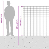 Recinzione e Posto Argento 1,5 x 10 m Acciaio 3336174