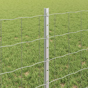 Recinzione e Posto Argento 0,6 x 50 m Acciaio 3336211