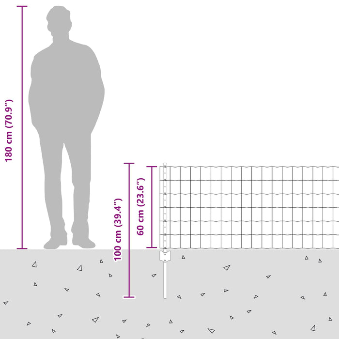 Recinzione e Posto Argento 0,6 x 50 m Acciaio 3336211