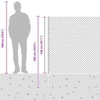 Recinzione e Posto Verde 1,4 x 10 m Acciaio 3336234