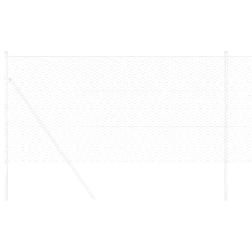 Recinzione Esagonale Argento 1 x 50 m Acciaio zincato 42005720