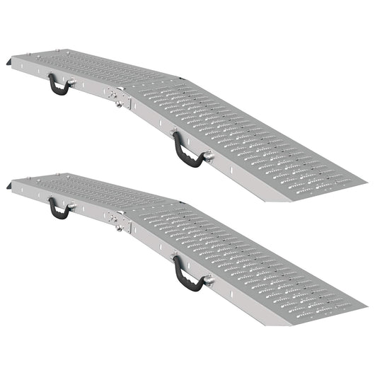Ramp di Carico 2 pcs Argento 166 x 22,5 x 4,5 cm 42019250