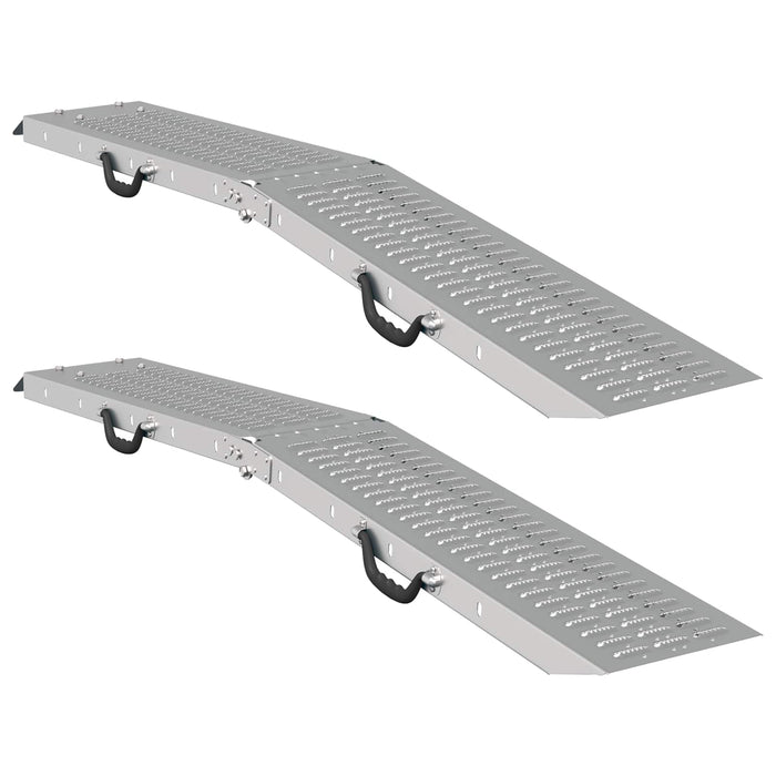 Ramp di Carico 2 pcs Argento 166 x 22,5 x 4,5 cm 42019250