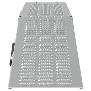 Ramp di Carico 2 pcs Argento 166 x 22,5 x 4,5 cm 42019250