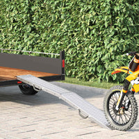 Ramp di Carico Argento 185 x 22,5 x 4,5 cm Acciaio zincato 42019251