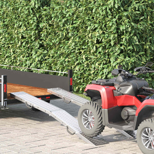 Ramp di Carico 2 pcs Argento 185 x 22,5 x 4,5 cm 42019252